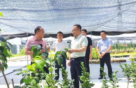 龔勇明到八桂種苗集團(tuán)調(diào)研